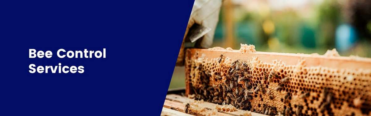 Bees control services