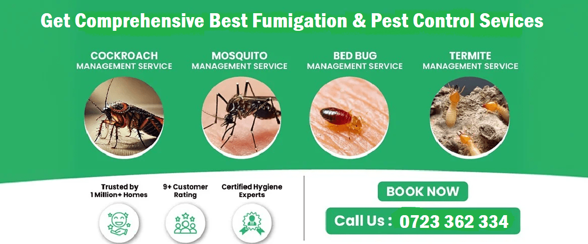 Comprehensive fumigation & pest control services