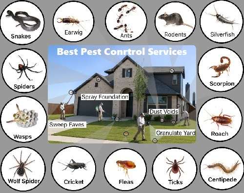 get fumigation & pest control services in Nairobi Kenya, Jopestkil Kenya Specialists Fumigation Pest Control Services in Kenya, pest control, pest control services, pest control services in Kenya, pest control in Kenya, fumigation, fumigation services in Kenya, fumigation in Kenya, pest control near me, pest control services near me, best pest control services in Kenya, best fumigation services in Kenya, fumigation services near me, best pest management services in Kenya, fumigation and pest control services, pest extermination services in Kenya, pest eradication services in Kenya, pest elimination services in Kenya, top best fumigation services in Kenya, certified and licensed pest exterminator in Kenya. get fumigation & pest control services in Nairobi Kenya, Jopestkil Kenya Specialists Fumigation Pest Control Services in Kenya, pest control, pest control services, pest control services in Kenya, pest control in Kenya, fumigation, fumigation services in Kenya, fumigation in Kenya, pest control near me, pest control services near me, best pest control services in Kenya, best fumigation services in Kenya, fumigation services near me, best pest management services in Kenya, fumigation and pest control services, pest extermination services in Kenya, pest eradication services in Kenya, pest elimination services in Kenya, top best fumigation services in Kenya, certified and licensed pest exterminator in Kenya.