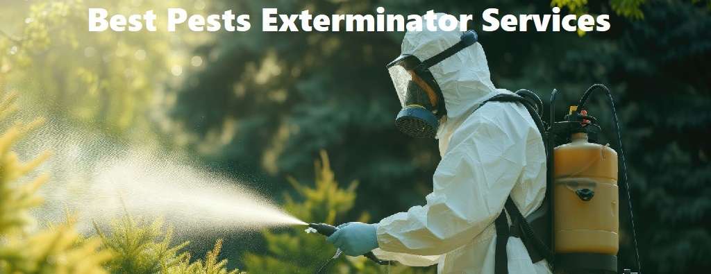 Best pests exterminator services in Kitale Best pests exterminator services in Kitale