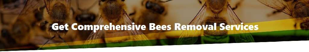 Bees control Bees control
