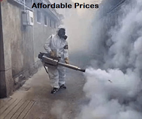 pest control prices in Kenya, pests extermination prices, pest control services prices in Kenya, fumigation services cost, pest control prices, fumigation prices
