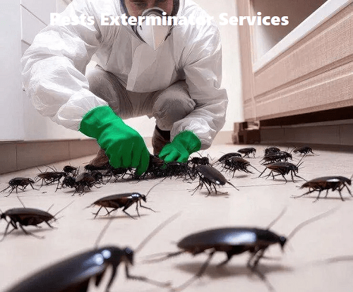 pest exterminator services in Tanzania pest exterminator services in Tanzania