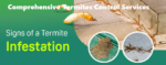 Termite and How to Get Rid of Termites in Homes & Businesses termites control services Kenya