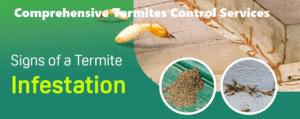 termites control services Kenya