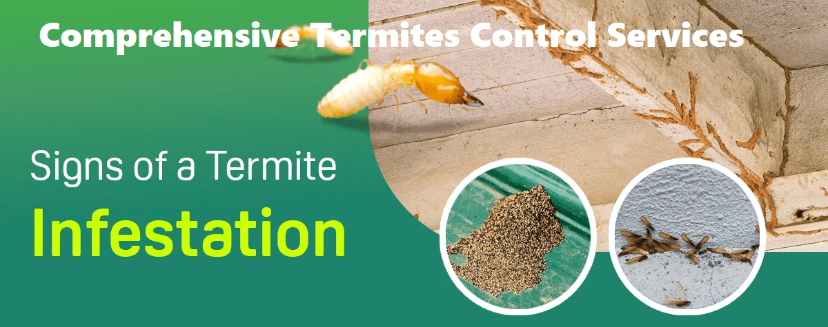 termites control services Kenya