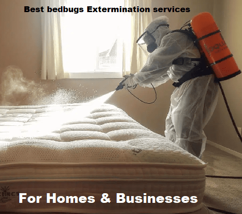 Bedbugs control & treatment services in Kenya