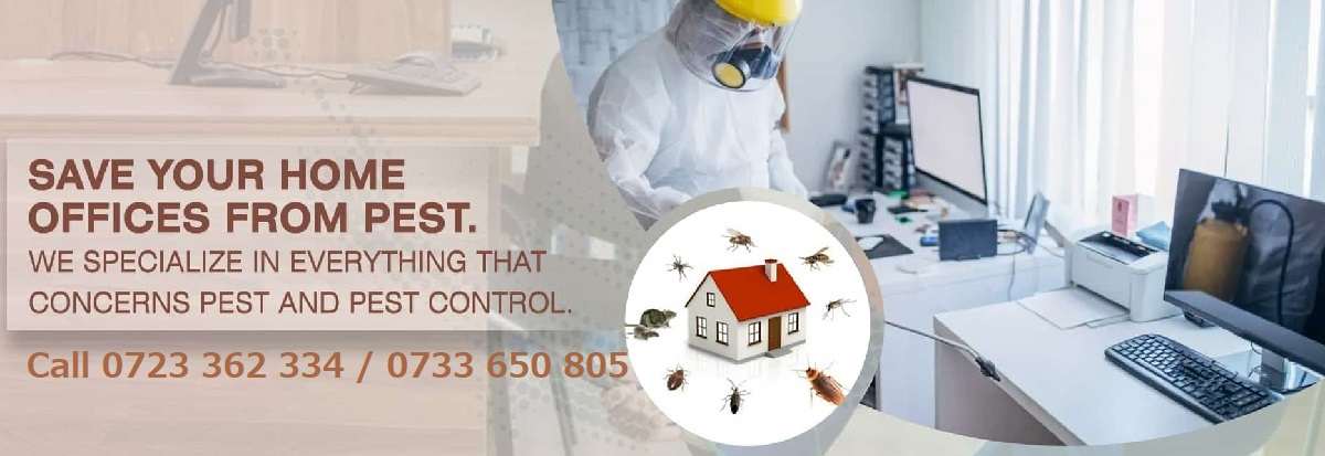 Best Fumigation and pest control services in Nairobi Kenya