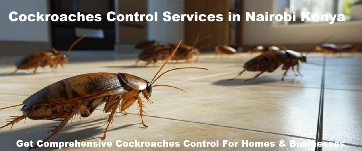 Cockroaches control services in Nairobi Kenya