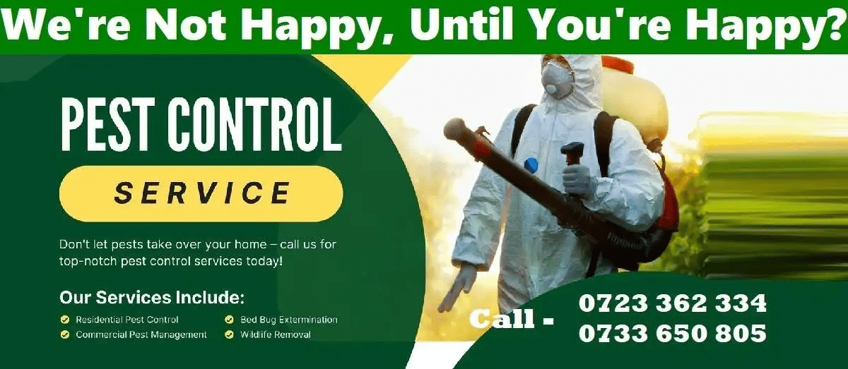 Fumigation and pest control services in Nairobi Kenya comprehensive