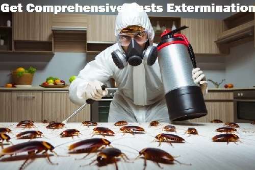 Get fumigation & pest control services in Nairobi Kenya, Jopestkil Kenya Specialists Fumigation Pest Control Services in Kenya, pest control, pest control services, pest control services in Kenya, pest control in Kenya, fumigation, fumigation services in Kenya, fumigation in Kenya, pest control near me, pest control services near me, best pest control services in Kenya, best fumigation services in Kenya, fumigation services near me, best pest management services in Kenya, fumigation and pest control services, pest extermination services in Kenya, pest eradication services in Kenya, pest elimination services in Kenya, top best fumigation services in Kenya, certified and licensed pest exterminator in Kenya.