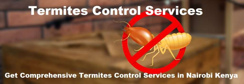 termites control, termites control services, termites control services in Kenya, termites control in Kenya, termites fumigation, termites fumigation in Kenya, termites control near me, termites fumigation services near me, best termites management services in Kenya, termites extermination services in Kenya, termites eradication services in Kenya, termites elimination services in Kenya, certified and licensed termites exterminator in Kenya. termites control, termites control services, termites control services in Kenya, termites control in Kenya, termites fumigation, termites fumigation in Kenya, termites control near me, termites fumigation services near me, best termites management services in Kenya, termites extermination services in Kenya, termites eradication services in Kenya, termites elimination services in Kenya, certified and licensed termites exterminator in Kenya.