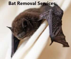 Bat control