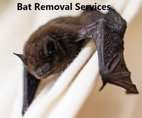 Bat control
