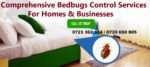 Bedbugs Control Services in Nairobi Kenya Bedbugs control services in Nairobi Kenya