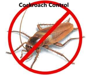 Cockroach control