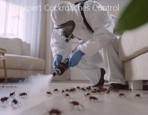 Best cockroaches control solutions