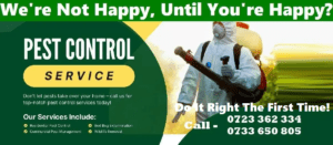 Fumigation and pest control services in Nairobi Kenya comprehensive