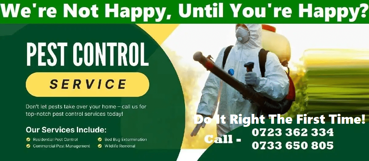Fumigation and pest control services in Nairobi Kenya comprehensive Fumigation and pest control services in Nairobi Kenya comprehensive