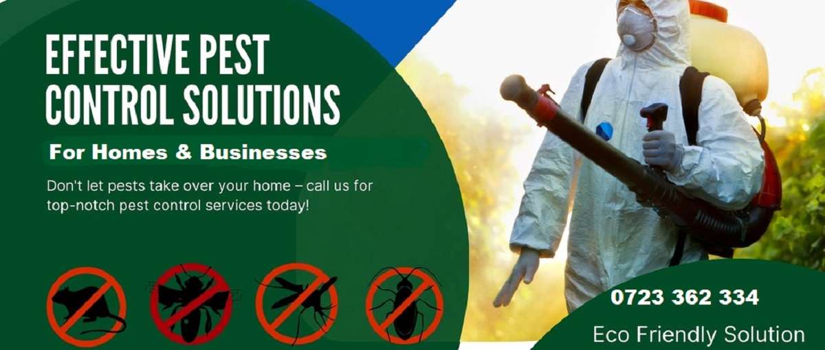 How to Get Rid of Bedbugs Cockroaches Bats Termites in Homes Businesses How to Get Rid of Bedbugs Cockroaches Bats Termites in Homes & Businesses