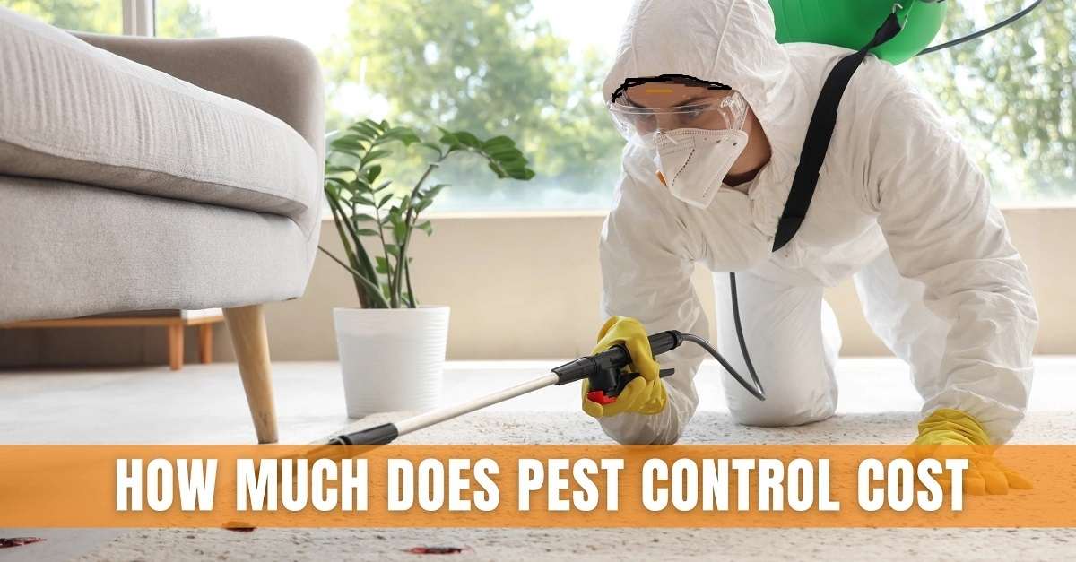 Pest Control Prices, Fumigation Costs & Pests Exterminator Pricing For Homes & Businesses
