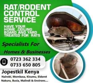 Rats control