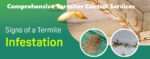 Termites Control Services in Nairobi Kenya Termites control services in Nairobi Kenya