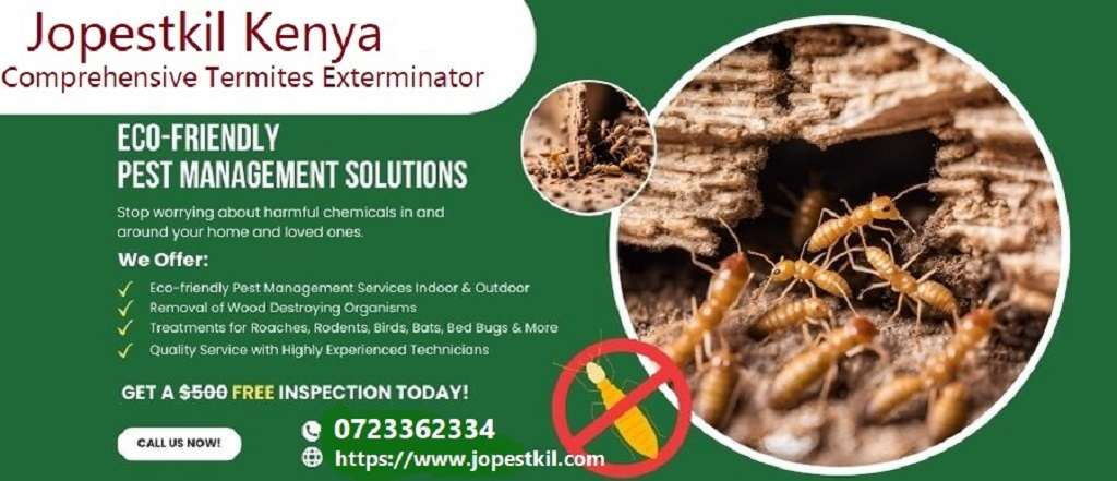 Termites Termites