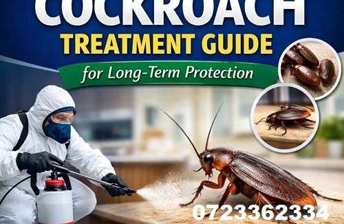 Cockroaches control Cockroaches control