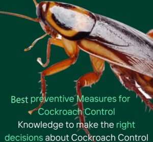 cockroaches control services for homes & businesses