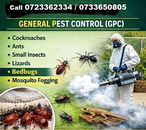 The Best Pest Control Services in Kakamega