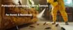 Cockroaches Control Services in Nairobi Kenya cockroaches control services in Nairobi Kenya exterminators