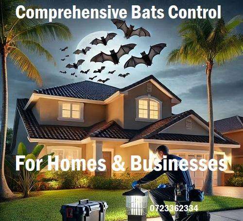 pest control for Bats