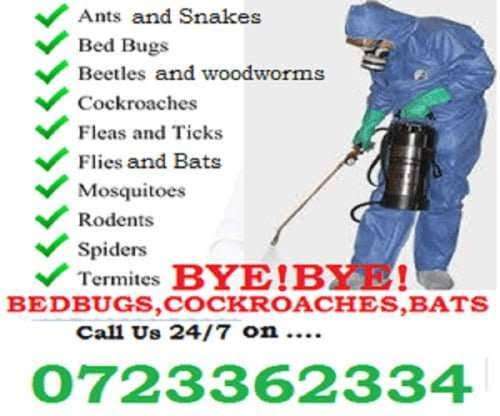 Pest Control, Pests Management & Fumigation For Homes & Businesses