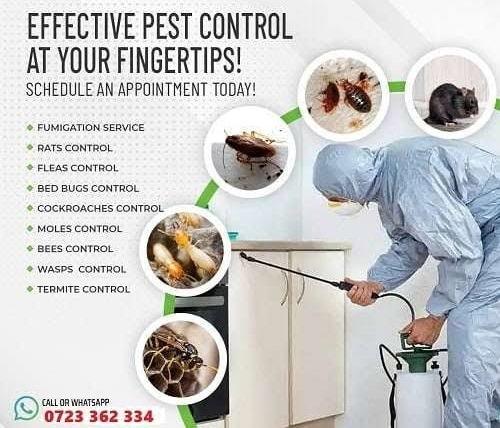 Fumigation and pest control services in Kenya