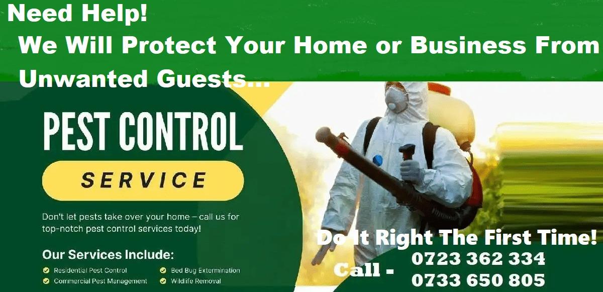 Professional Fumigation & Pest Control Services in Nairobi Kenya
