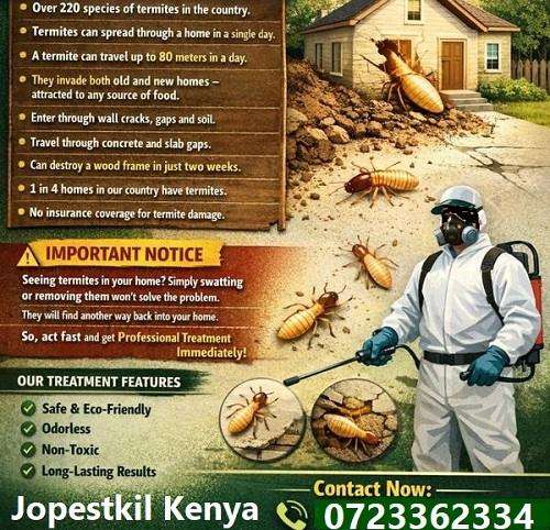 pest control for Termites