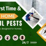 The Best Effective Fumigation and Pest Control Services