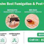 The best professional fumigation pest control services